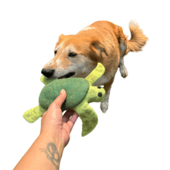 Felt Tortoise Dog Toy