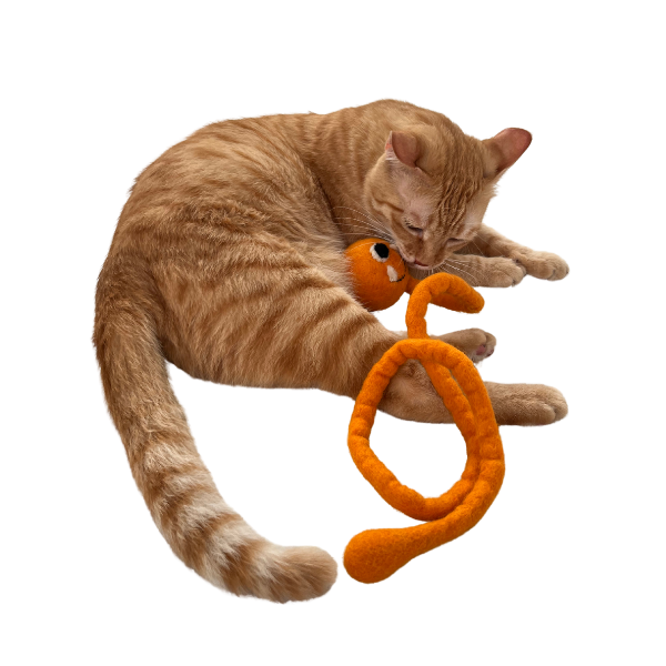 Rakshas Teaser Cat Toy - Image 3