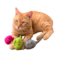 Meowzie Catnip Cat Toy