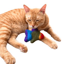 Rainbow Machli Cat Toy