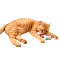 Mini Marble Balls Cat Toy