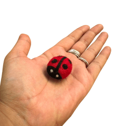 Felt Ladybug